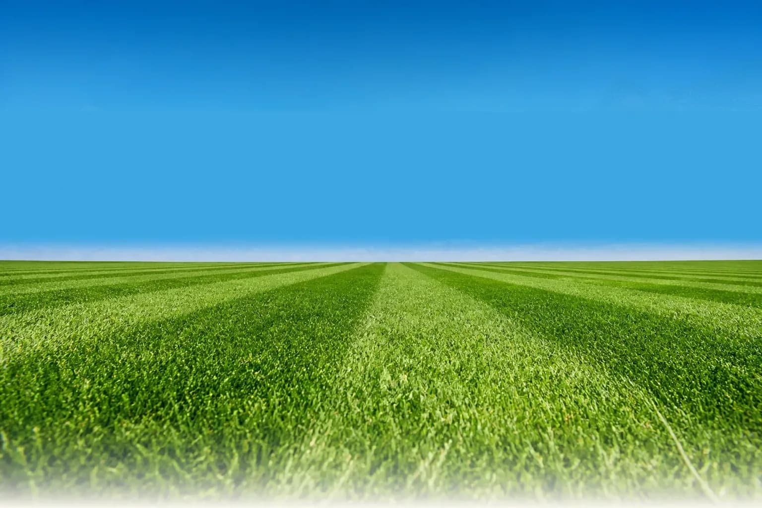 A freshly mown lawn with long mowing stripes under a bright sky